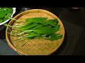 wild garlic pesto เก็บกระเทียมป่าอ่อน ๆ เต็มป่าในเยอรมันนี มาทำ pesto เก็บเอาไว้กินทั้งปี ep.23