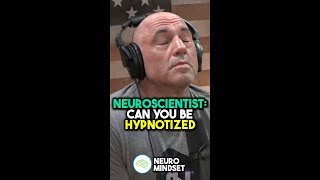 Neuroscientist: Are You Hypnotizable? | Andrew Huberman #joerogan #shorts