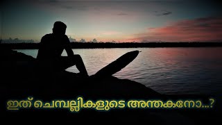 Mastering Chemballi Fishing Techniques for Beginners | ചെമ്പല്ലി വേട്ട | Chembali Fishing Kerala