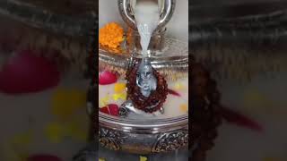 అతి శక్తివంతమైన శివ మంత్రం//Lord Shiva🕉️🐄🙏