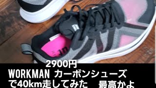 ワークマンカーボンシューズで　４０ｋｍ走やってみた