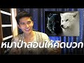 หมาป่าสอนให้คิดบวก - The Wolves