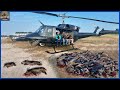 How Do American Hunters Deal With Millions Of Wild Boars With Traps And Helicopters | Hog Hunting