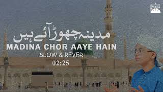 Syed Hassan Ullah Hussaini | Madina Chor Aaye Hai | Heart Touching Naat | Slow And Reverb
