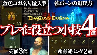 【ドラゴンズドグマ2】金色コガネ簡単探索や売値3倍方法など、快適プレイに必ず役立つ小技４選【DD2】