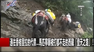 通往香格里拉的代價...馬匹寧願被打都不走的西藏「登天之路」！ 馬西屏 黃創夏 劉燦榮 20161124-4 關鍵時刻