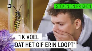 JURRE WORDT GESTOKEN DOOR EEN WESP! | Steken en Prikken #1 | NPO Zapp