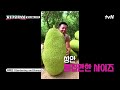 기상미션 열대과일을 지켜라 세상에서 제일 큰 과일을 본 이영지ㅋㅋㅋ 뿅뿅지구오락실 tvn 220916 방송