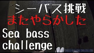 シーバス挑戦　愛知県蒲郡市某所 2021.4.4 Sea bass challenge 海鲈鱼挑战　시바스 도전　सी बास चुनौती