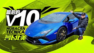 V10小牛终极版，再不买就没了！｜萝卜北美