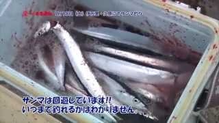 壱岐沖にて真鯛釣り （2014年4月3日）【つり具のまるきん釣り情報】