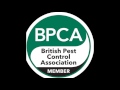 black dog pest solutions uk