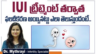 IUI తర్వాత ఫలదీకరణ || How Long does Fertilization take after IUI? || Mythri Sri Fertility Centre
