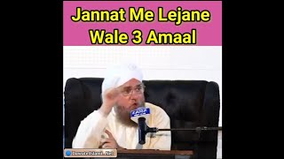 Jannat Me Lejane Wale 3 Amal ?! Dawate Islami Status ! Abdul Habib Attari Status