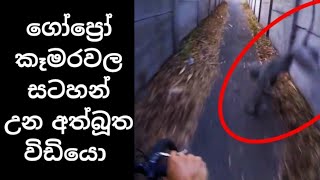 ගෝප්‍රෝ කෑමරවල සටහන් වුන බයානකම සිදුවීම් කිහිපයක් මෙන්න /sacriest things caught on gopro camera