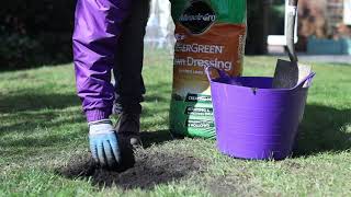 Lay turf over bare lawn patches