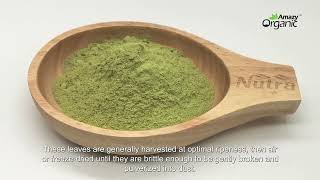 What is Organic Kale Powder?