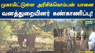 முகாமிட்டுள்ள அரிசிக்கொம்பன் யானை வனத்துறையினர்  கண்காணிப்பு! | Arisikomban elephant | Forest