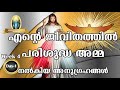 week 4 day 1 .....എൻ്റെ ജീവിതത്തിൽ പരിശുദ്ധ അമ്മ നൽകിയ അനുഗ്രഹങ്ങൾ