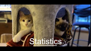 Project 2 Overview - Statistics