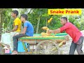 King Cobra Snake Prank 🐍 (Part 12) | Fake Snake Prank Video | 4 Minute Fun