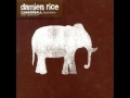 Damien Rice 