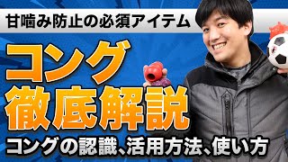 【徹底解説】甘噛みを防止する必須アイテムコングについて徹底解説！コングの認識、作り方、コング以外のおすすめアイテム