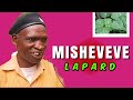 Misheveve (Official Lyrics Video) Misheveve trending song - prod lapard