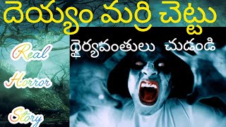 దెయ్యం మర్రి చెట్టు #ghostystory #horror story ||ghost story||horror story||hollowen