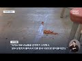 중국식당만 돌며 무차별 도끼 테러‥아시아 혐오 범죄 2023.06.20 뉴스데스크 mbc