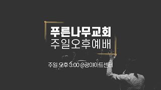 푸른나무교회 오후청년예배 | 2024.8.04 15:00 @광야아트센터