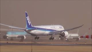 春一番 大荒れの成田・こわ～ジャンプしてタッチダウン❢ ANA B787 成田空港さくらの山 nrt hhh