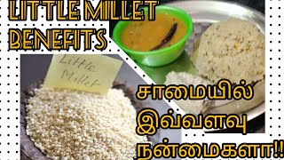 முதுகெலும்பை பலப்படுத்தும் சாமை பொங்கல் ||Little Millet pongal||VNHKITCHEN