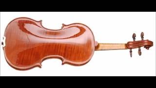 Marcin Krupa - Finalist - 13th Wieniawski Violin Making Comp. | binaural recording | chamber hall