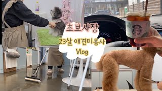 (Vlog)00년생 7년차애견미용사 | 애견미용사 브이로그 | 초보사장 | 스포팅 | 배냇미용