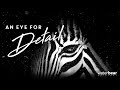 An Eye For Detail | Official Trailer | WaterBear