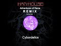 Cybordelics - Adventures of Dama (Remix An Deé)