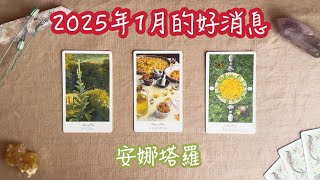 安娜塔羅❤️1月的好消息？宇宙指引？開箱書籍（事業/愛情/靈性全方位指引）#塔羅  #塔羅占卜