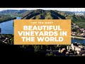 The 10 Most Beautiful Vineyards In The World