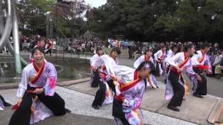 Team雅龍[NEW山紫水明]20151129_四日市よさこい祭り〜やったろ舞〜（諏訪公園）[4K]