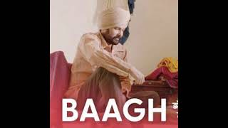 Baagh by Amrinder Gill