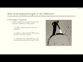 Neuropsychology in DBS (by Johanna Philipson)