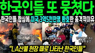 [해외감동사연] 한국인들 행동 반만 따라해라 LA산불 현장 가장 먼저 달려온 한국인들 선결제 특이한 행동에 미국 3억5천명 감동의 오열 #해외반응 #외국사연