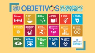 Los Objetivos de Desarrollo Sostenible explicados