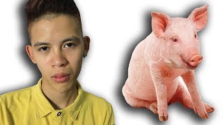 NTN - Cách Để Biến Người Khác Thành Con Lợn (Ways To Turn Others Into Pigs)