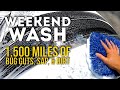 Weekend Wash / 1,500 Miles of Bug Guts, Sap, and More! #realdetailing #weekendwash