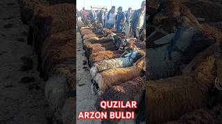 QUZILAR ARZON BULDI