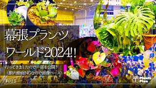 #015 幕張プランツワールド2024 （行ってきましたので一部を公開！館内動画NGなので画像ベース）