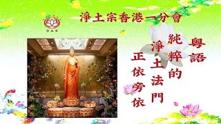 《粵語》純粹的淨土法門丨（49之12）正依旁依丨慧淨法師丨淨土宗