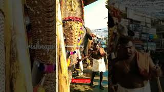 | kodungallur achuthan kutty elephant |കൊടുങ്ങല്ലൂർ അച്ചുതൻകുട്ടി |#elephantshorts